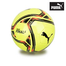 푸마 팀파이널 스포츠 트레이닝 체육용품 축구공