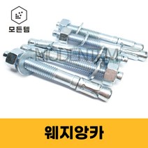 웨지앙카 스텐 STS 철 웻지앙카 앙카볼트 웨찌 천장 M8~M24, 웨지앙카 일반철(백색), 웨지앙카 M24 x 250mm(1개)