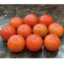 이길호토마토/산지직송/단단한토마토/대.중과/5kg, 1박스