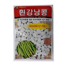 한농마트 흰강낭콩 씨앗 30g - 콩씨 종자