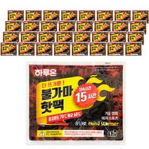 하루온 불가마 핫팩 손난로형 100g, 40개, 1개입