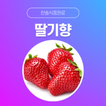 [한솔식품원료] 딸기향 (Strawberry Flavor) (액상 Type) [30g/50g/100g/1kg/5kg/10kg], 50g