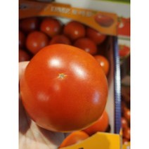 초신선 완숙토마토 토마토 가락시장 새벽경매 공수, (특1등급)완숙토마토 1kg (2L-2S)