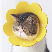 강아지 넥카라 고양이 푸들 동물병원 꼬깔 깔대기 소형견 반려견 넥칼라, 상품선택, 5펠트펫넥카라-노랑L
