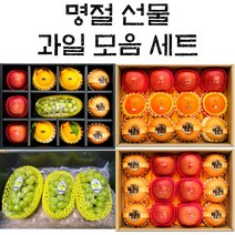 명절 과일 선물 세트 제철과일, 1_고급형_샤인머스켓단독