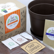 오너클랜 파라솔-셰프가든 루꼴라키우기 씨앗키우기 애완식물, 본상품선택