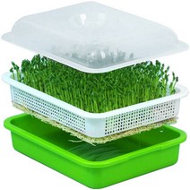 모종화분소형 모종포트 모종 Sprouter Nurseruy 냄비 트레이 커버 뚜껑 콩 녹두 검은 Wheatgrass 땅콩 녹색 씨앗 발아 Placstic 상자