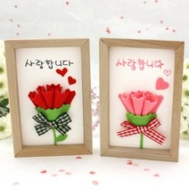 카네이션 나무액자 만들기, 빨강