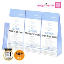 요거베리 케피어 요거트 스타터 3박스 티벳버섯 효모 유산균 종균, 없음