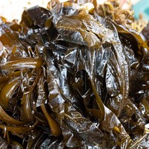 산지직송 당일조업 통영 해초류 매생이 톳 모자반 생미역 생굴, 생 미역 2kg