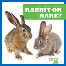 (영문도서) Rabbit or Hare? Library Binding, Bullfrog Books