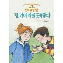 소녀 탐정 캠 캠 카메라를 도둑맞다, 논장