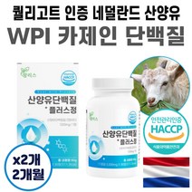 성장기 단백질 카제인 유청 WPI PROTEIN 추천 여자 남자 주니어 어린이 초등학생 초등고학년 HACCP 단백질 많은 음식 식단 식품 음료 건강 간식 영양식 살찌는 분유