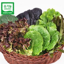 [푸르젠] 당일수확 발송 유기농 모듬 쌈채소(야채) 1kg, 1개, 상세 설명 참조