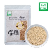 22년산 햇곡 국산 무농약귀리 500g, 1개
