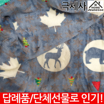 홈제네시스 밍크 극세사담요 무릎담요