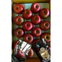 봉화사과부사(미안마) 5kg10kg, 10kg(30과~이하)