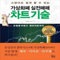 가상화폐 실전매매 차트기술, 상품명