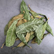 전라남도 여수 비파엽 200g