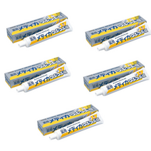 일본 치약 선스타 잇몸질환 완화 소금치약 170g 5개