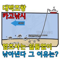 빙고아웃도어 원투 카고채비 밑밥 세트 선상낚시 찌낚시 루어낚시 학꽁치, 편리한 카고밑밥