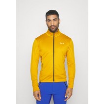 Salewa PUEZ JACKET - Fleece jacket gold 153383