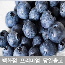 가락청과네 블루베리 400g 과일 제철과일 크랜베리 429566EA, 1, 본상품선택