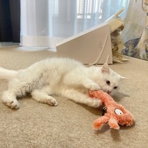 고양이 흐리멍텅 인형 장난감 바스락 캣닢 캣잎 캣잇 캣닙 깨무는 아기 입질 이갈이 새끼, 당나귀