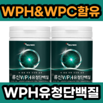 WPH 유청 단백질 농축 단백 분말 가루 WPH WPC 유청 단백 가수분해 유청농축 프리미엄 여성 여자 남자 남성 농축단백 물에 섞어 먹는 매일 먹기 좋은 편한 간편, 2개
