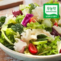 무농약 꽃송이버섯(생) 1kg약용버섯베타글루칸, 단품