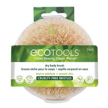 EcoTools 드라이 바디 브러시 1개