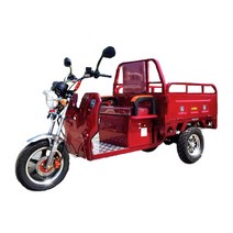 이지모터스 EG-300 시골 화물 스쿠터 오토바이 전동차