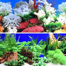 M)수족관 백스크린(10cm단위)-어항배경 그림 시트지, 없음