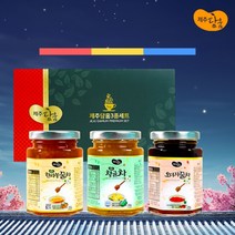 도토로 제주담움 3종세트 한라봉꿀차 오미자꿀차 청귤차