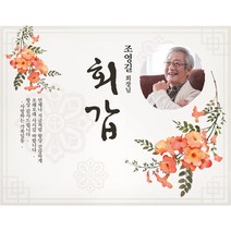 e베이비랜드 환갑현수막 / 회갑 칠순 팔순 고희연 정년퇴직 부모님 생신 플랜카드, 5) [제작] A1784