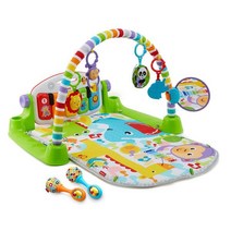 피셔프라이스 디럭스 아기 체육관 (녹색), FisherPrice Deluxe Piano Gym (, 그린
