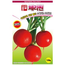 무씨앗종자 20일무 체리원적환무 방울무 12g asa, 1개