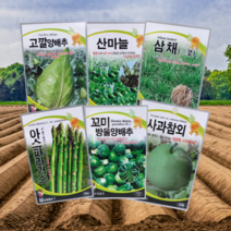 세계 산마늘 명이나물 사과참외 고깔 미니 양배추 궁채나물 밀크씨슬 엉겅퀴 씨 씨앗 종자, 1개