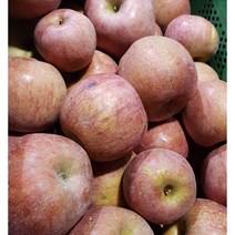 [팜플루트]갈아먹는 사과10kg 주스용사과 요리용사과 10kg, 10kg