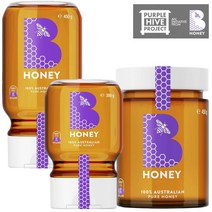 B 허니 오스트레일리안 퓨어 호주꿀 300g-450g, 1.Upside Down 300g