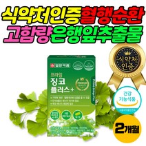 징코 플러스 혈행 혈액 순환 개선 영양제 식약처인증 플라보놀배당체 최대함량 은행잎 추출물 멀티 비타민 건강 기능 식품 부모님 스승님 선물 50대 60대 남성 여성 추천 2개월