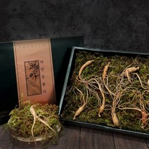 경선건강원 횡성 산양삼 6년근 장뇌삼 진세노사이드 산삼 산양산삼 먹는법 남자친구 여자친구 부모님 선물 추천 산삼, 1세트, 5뿌리