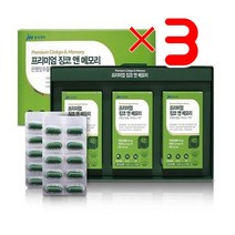 중외제약 프리미엄 징코 앤 메모리 X3 I 기억력영양제 항산화징코 기억력좋아지는영양제