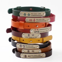 가죽 인식표 강아지 목걸이 고양이 이름표 NEW레더베이직, 둥근체, 초코브라운