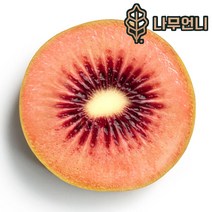 키위나무 키위 정원수 나무언니, 레드키위(접목2년생)