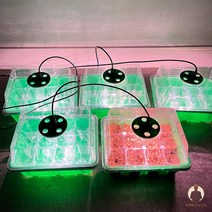 파종트레이 숲온 LED 식물 발아온실 자구 씨앗 발아기 새싹재배기 앞치마를두른남자, 1개