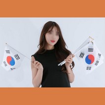 광화문 집회 행사소품 애국심 소형 태극기 응원용 휴대용 베란다 운동경기, 1개