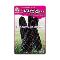 제일 조생대학흑찰옥수수 씨앗 150립