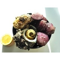 캠핑 삼배체(반손질)하프셀 굴 세트 with 홍가리비 뿔소라, 삼배체 중(4~5미), B(삼배체반손질하프셀 2팩+뿔소라 1kg)