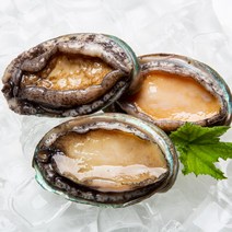 웰빙곳간 완도산 활 전복 1kg (40~60미), 1개